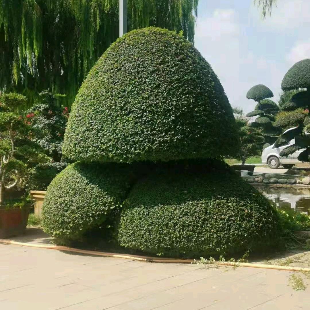 煜涵园林