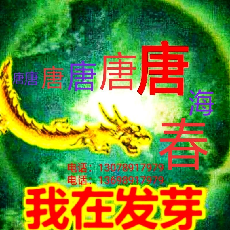 启航新征程（1）
