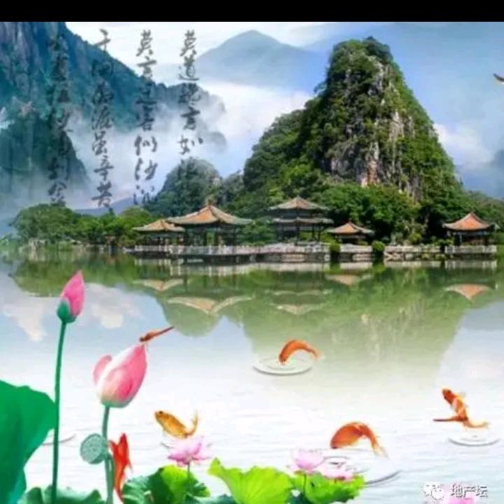 胜旺《风水顾问》