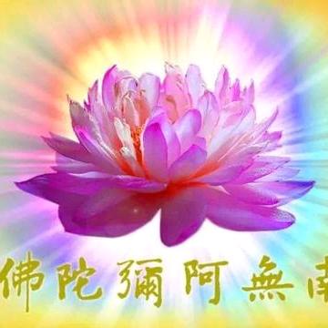 静修_2317696