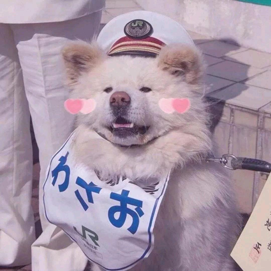 星吟