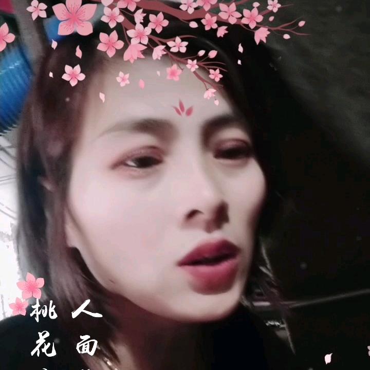 雪灵飞梦