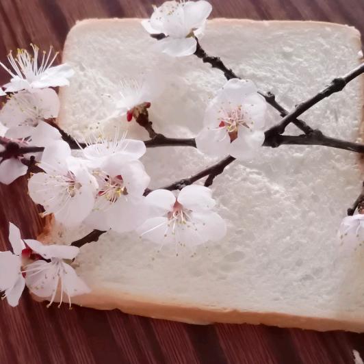 嘻哈