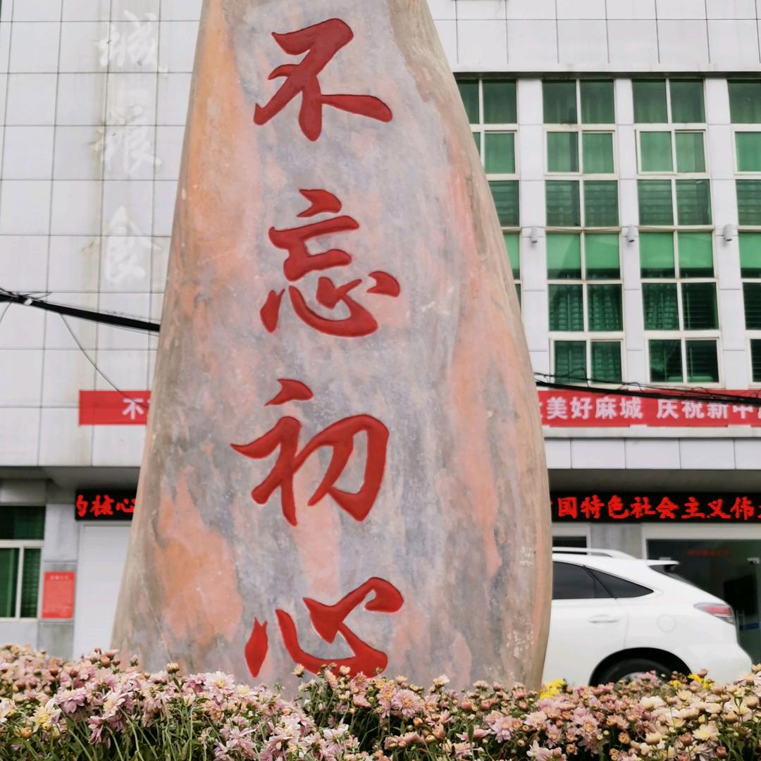 志