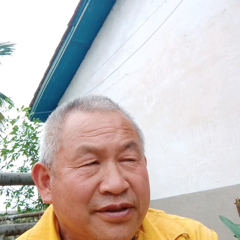 杨其辉