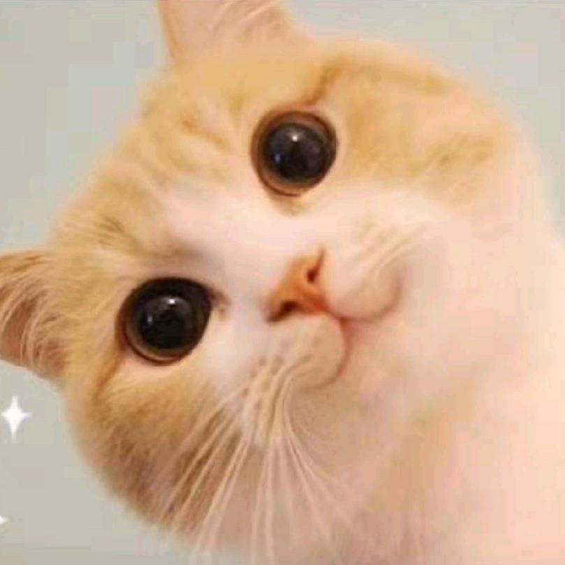 抚辰