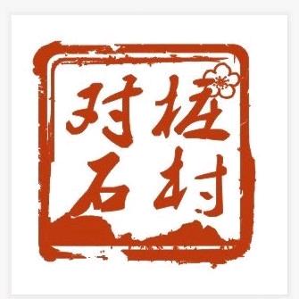 对桩石农二代