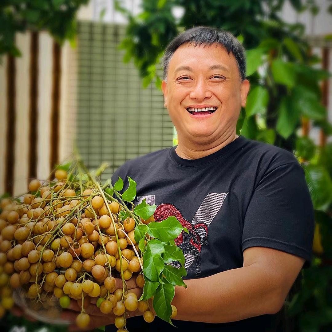 老牛与AI，别野生活后记