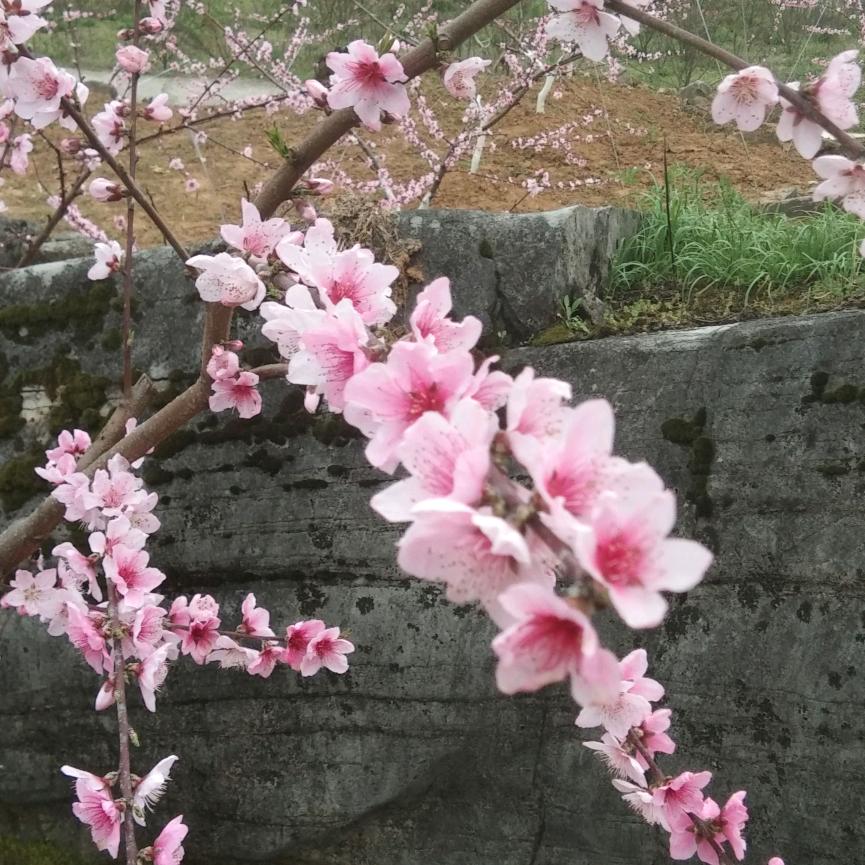 @一切随缘