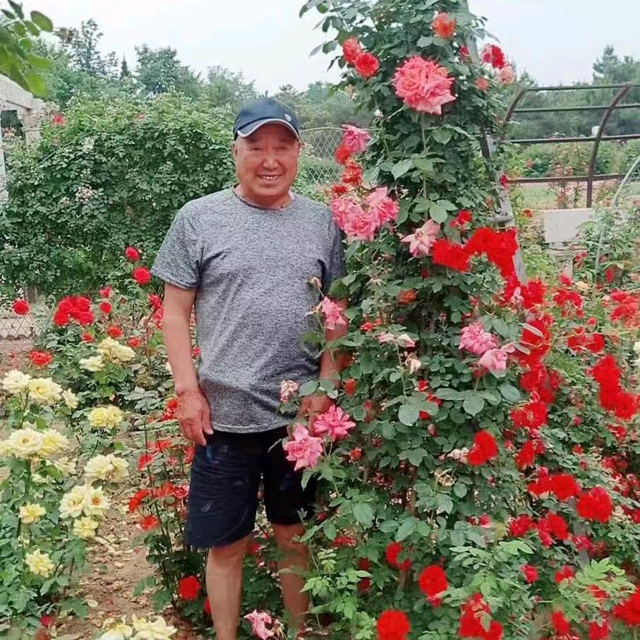 🌹快乐✨一老头💐