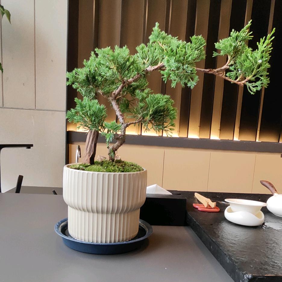 平安是福