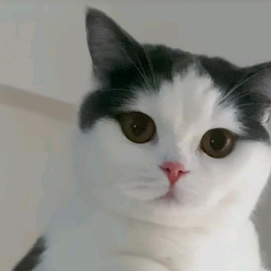 瞬间生活