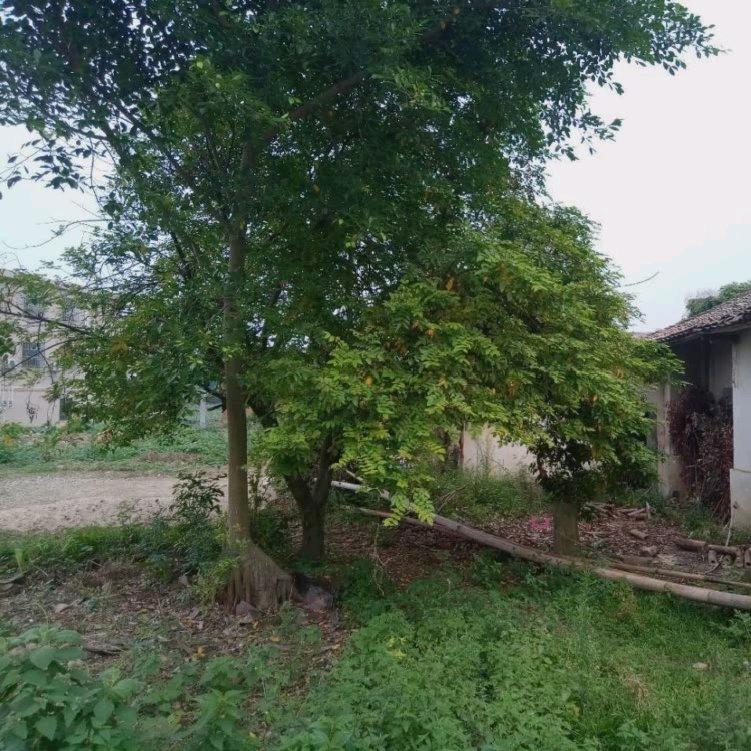 857