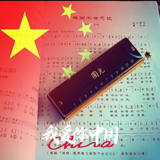 小白杨