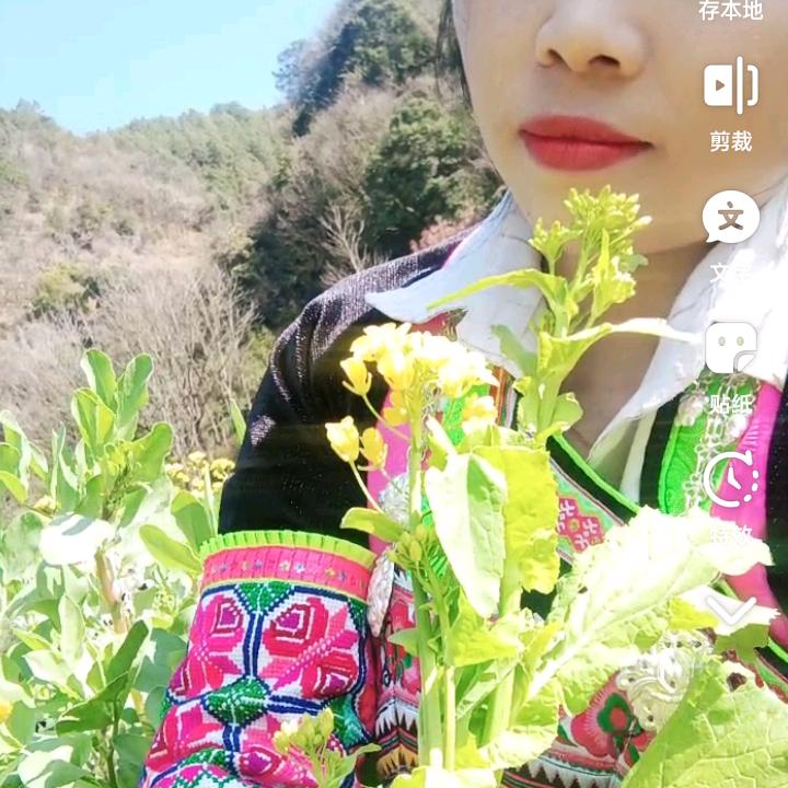 正在努力的彝族姑娘