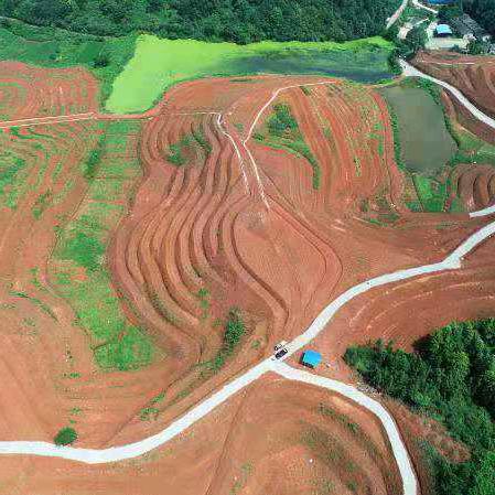 职业农民，谢五洲