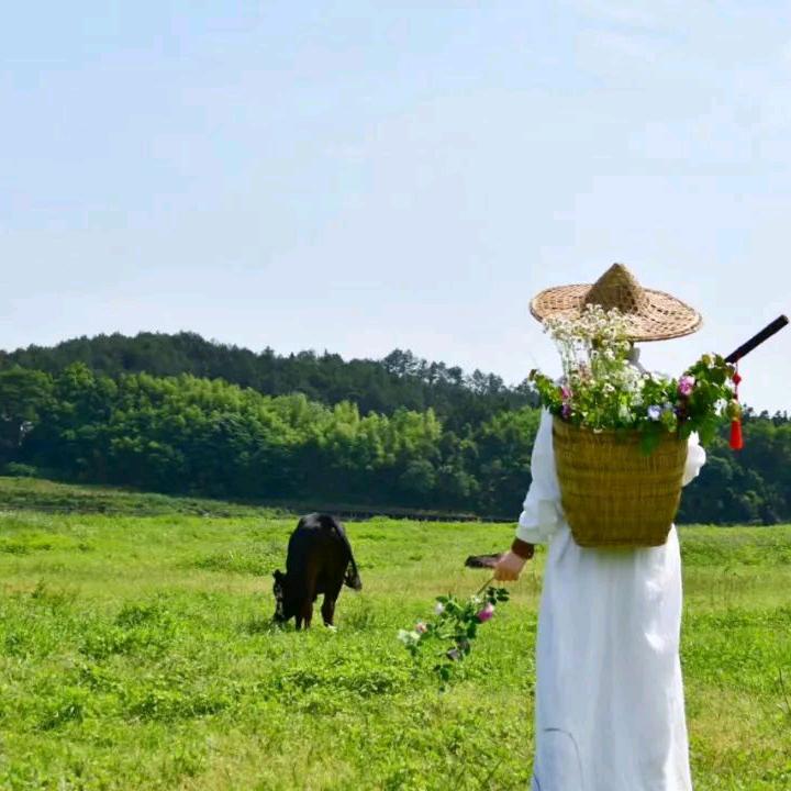 自清