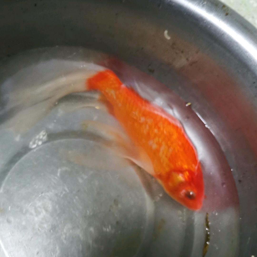 哒*哒*哒