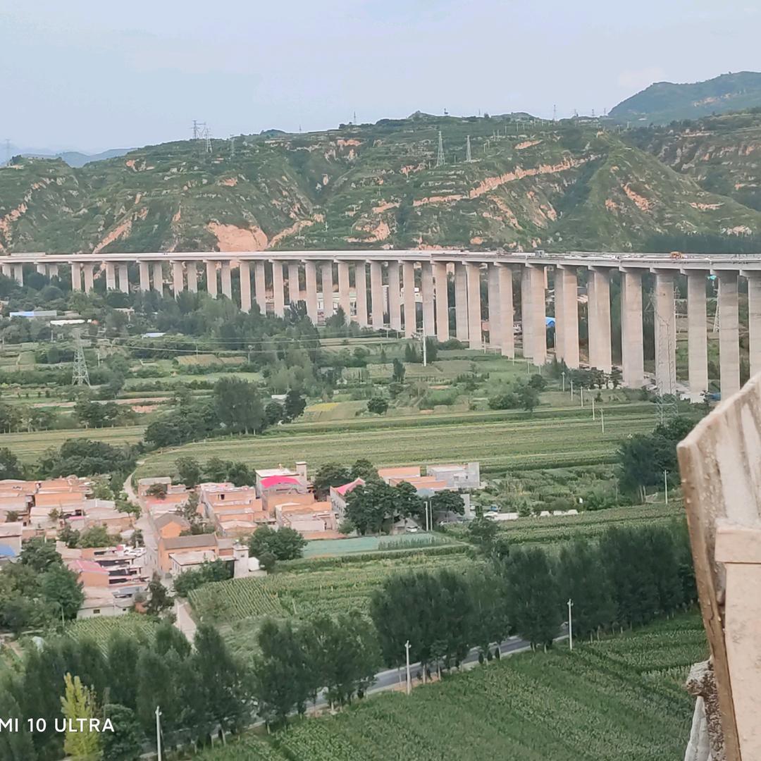 桥面系小顾