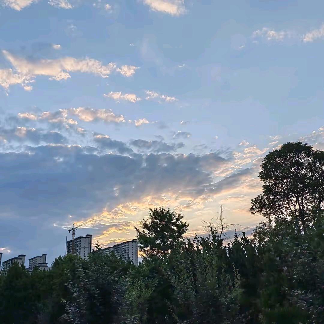 平零
