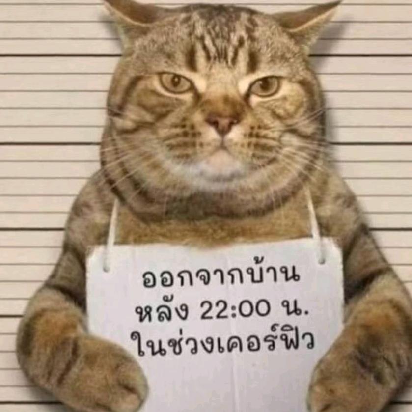 草莓味的士多啤梨