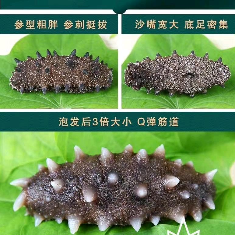 正心源九月印象海参