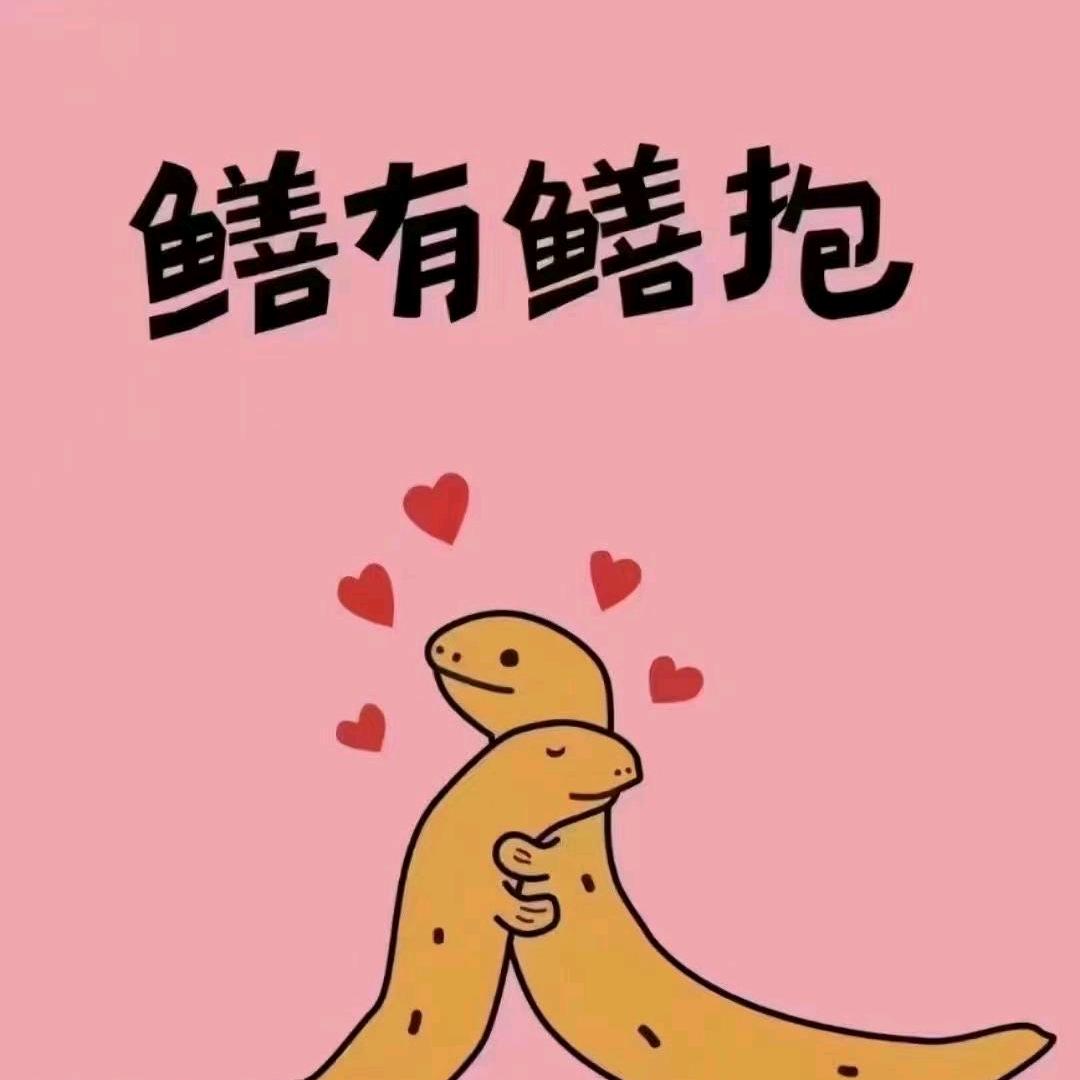 我是小文文