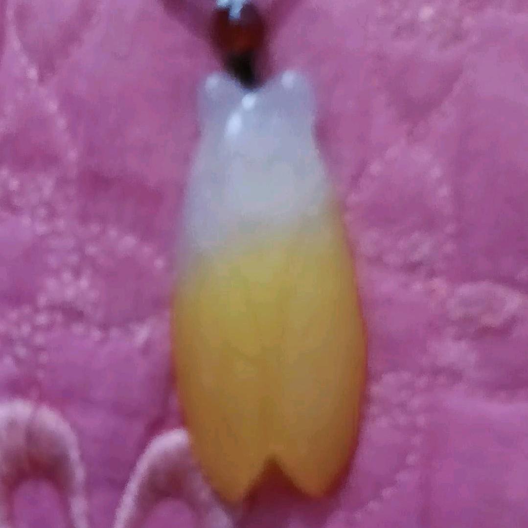 潇洒游人间