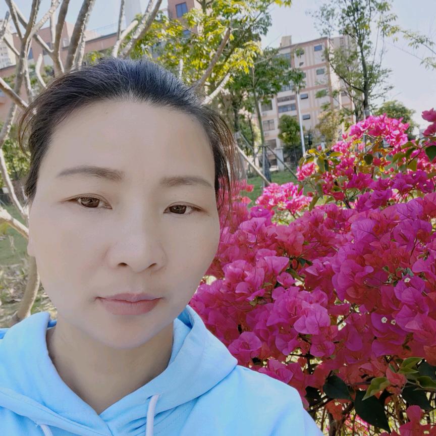 珠珠