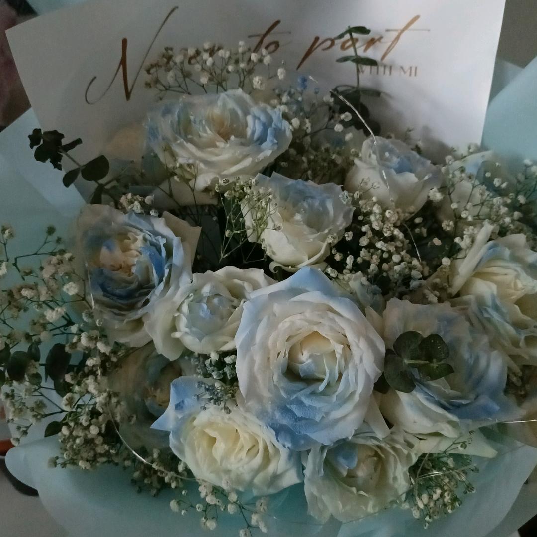 か橘子🍊花香🦌