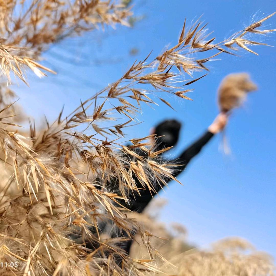 🧘‍♂️胖胖不胖🧘‍♀️