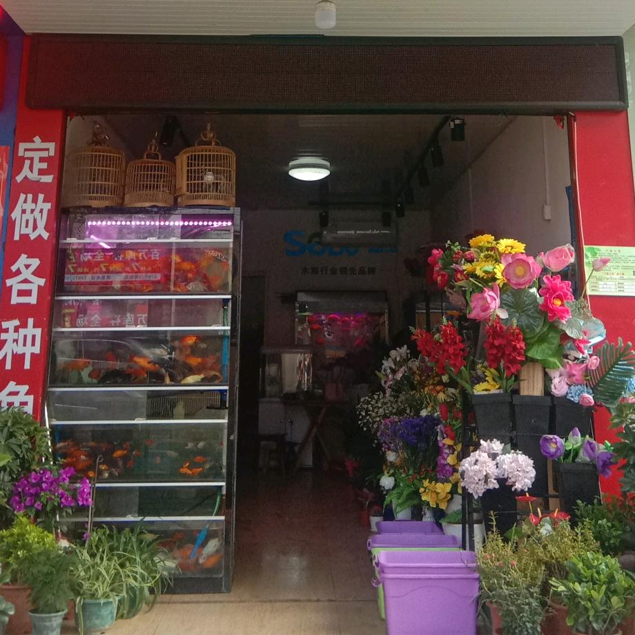 叶子花鸟虫鱼二十年老店183975003