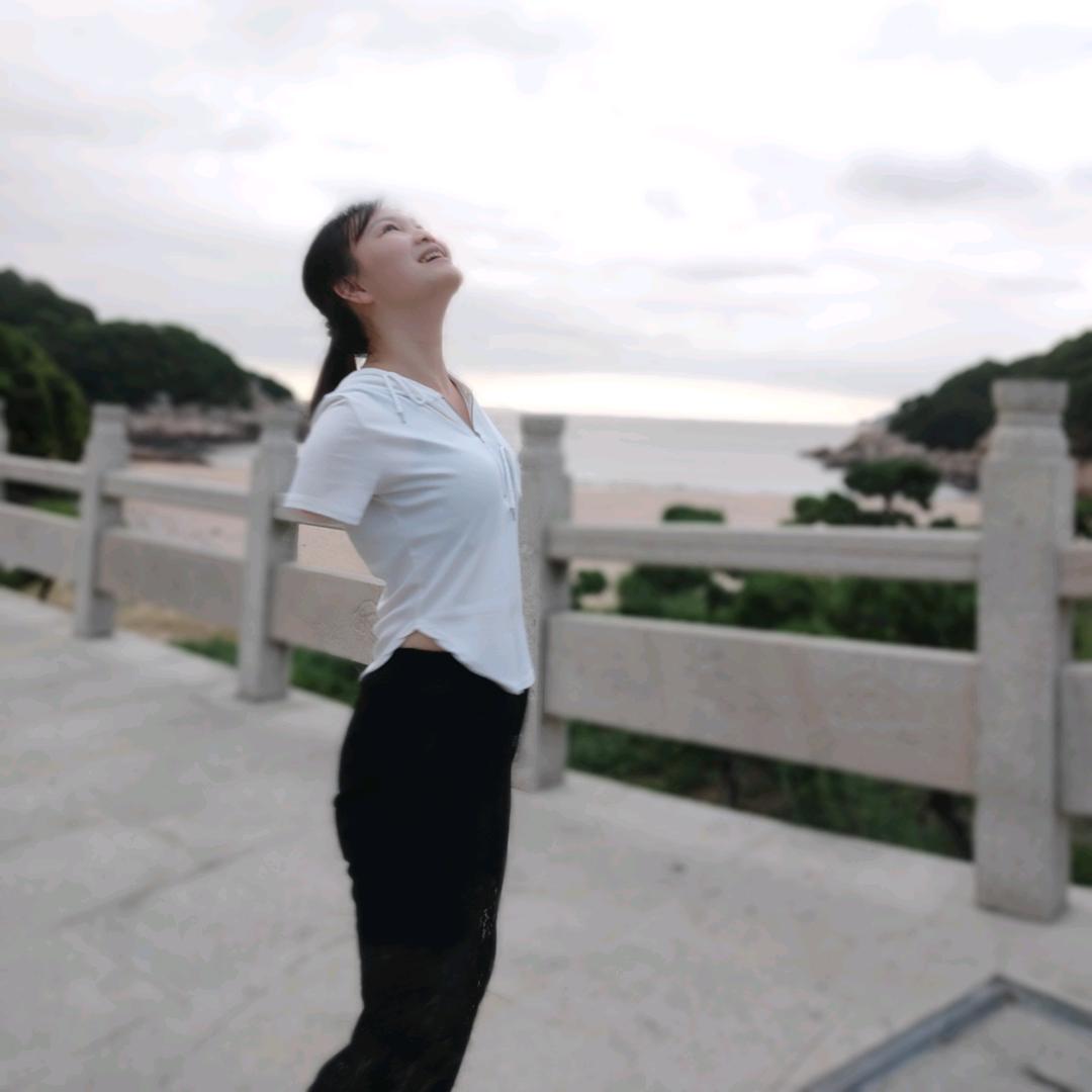 没有翅膀的梅子