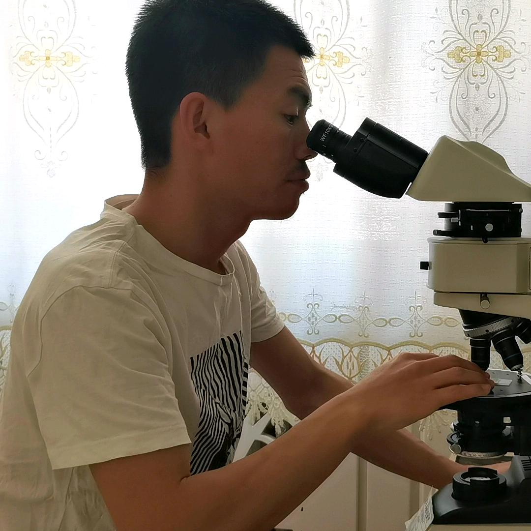 策伯克陨石科普