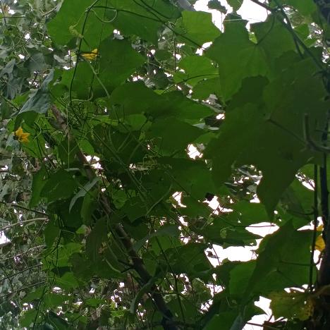 一生平安❤️❤️❤️