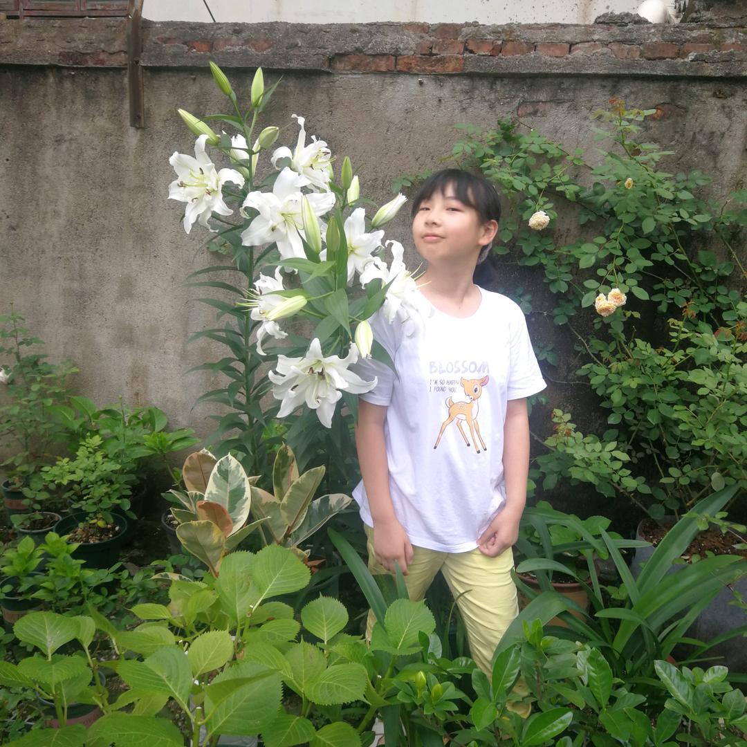 爱种花的钱有花