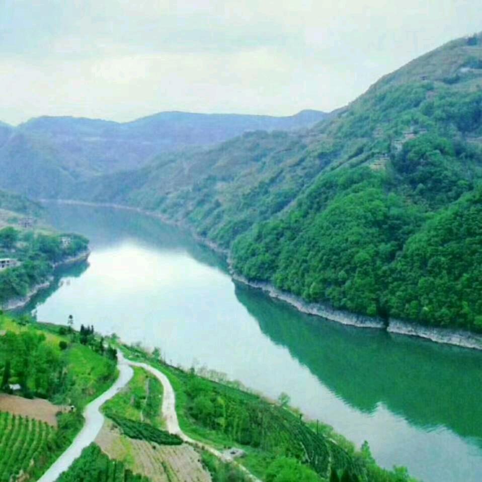 快乐一生王宇平