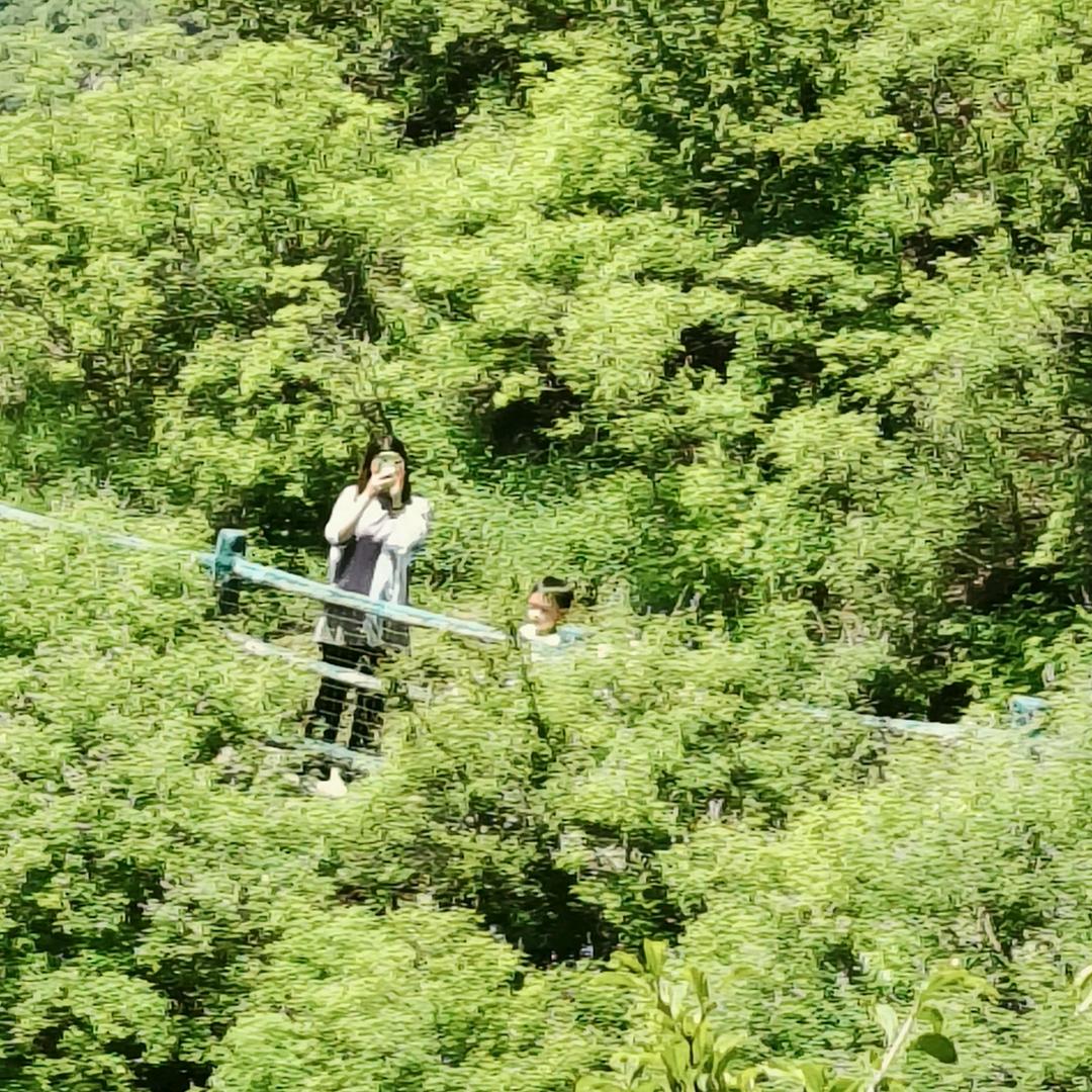 A.社会你丽姐