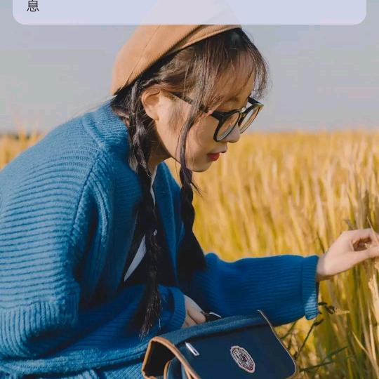 小小绿萝