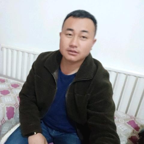 小马奔腾
