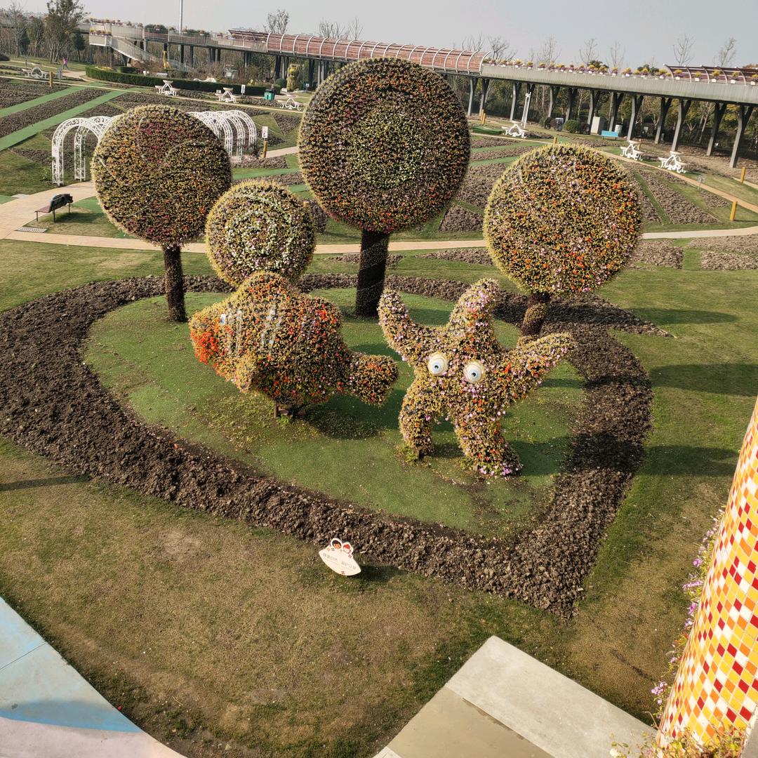 来一次说走就走的旅行