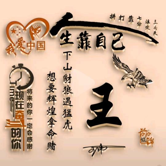 天天开心（老王有话说）