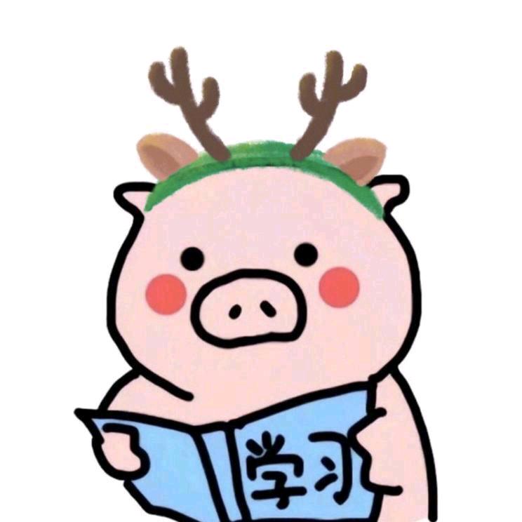 荷兰猪