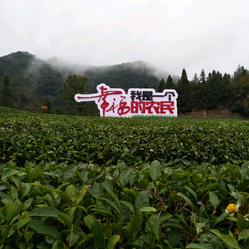 天赐农业