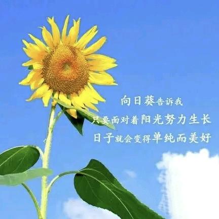 皓轩家的日常分享