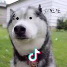 巴啦啦能量沙罗沙罗小魔仙