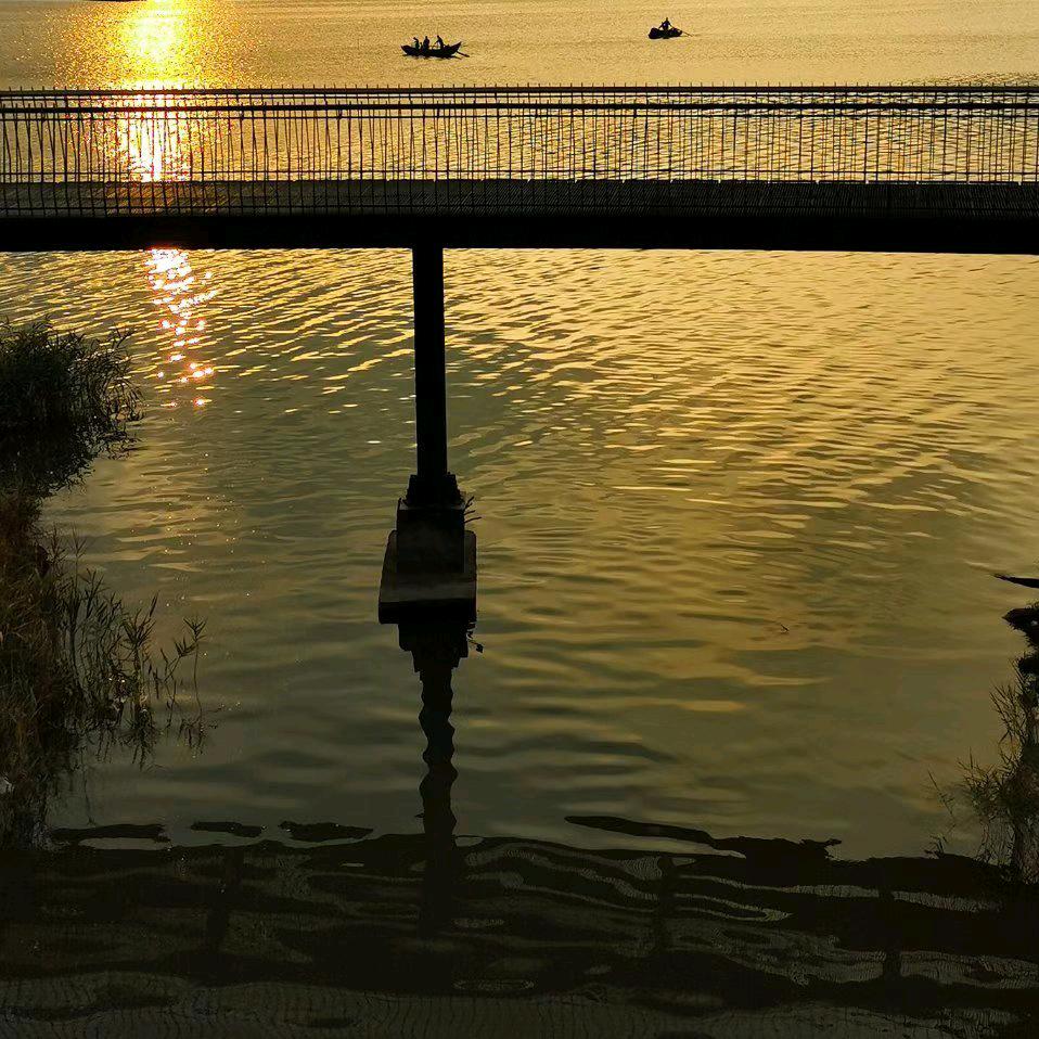 _人生若只如初见_