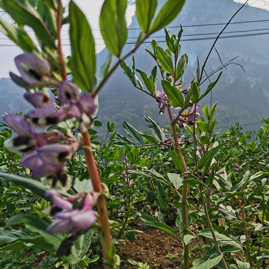 （世间始终你好）😘😘😘