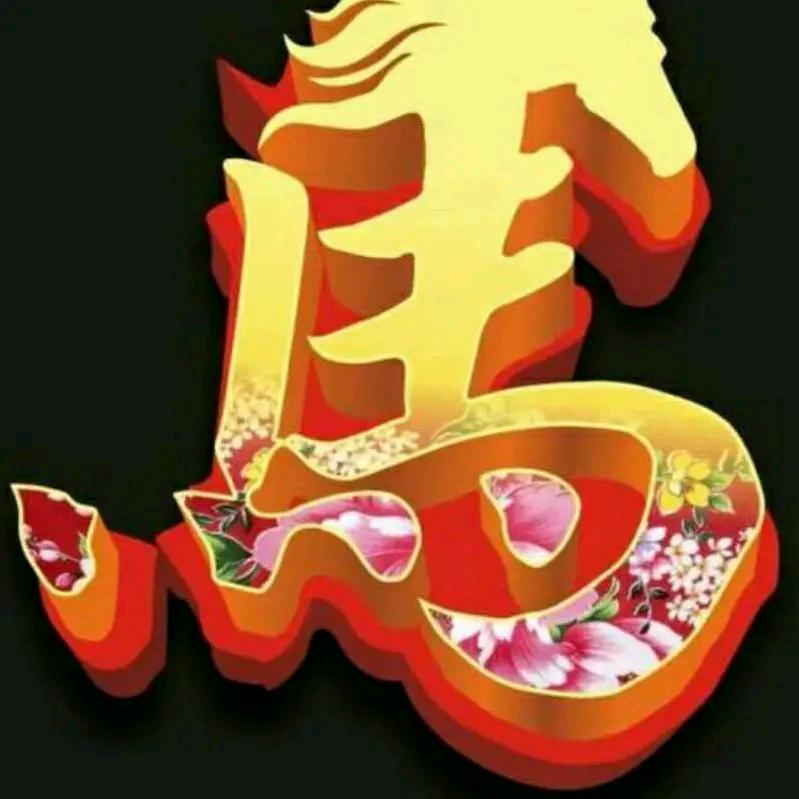 皖 L 马   成 ：