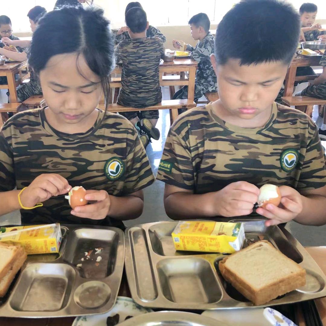 幸福龙凤胎奶奶